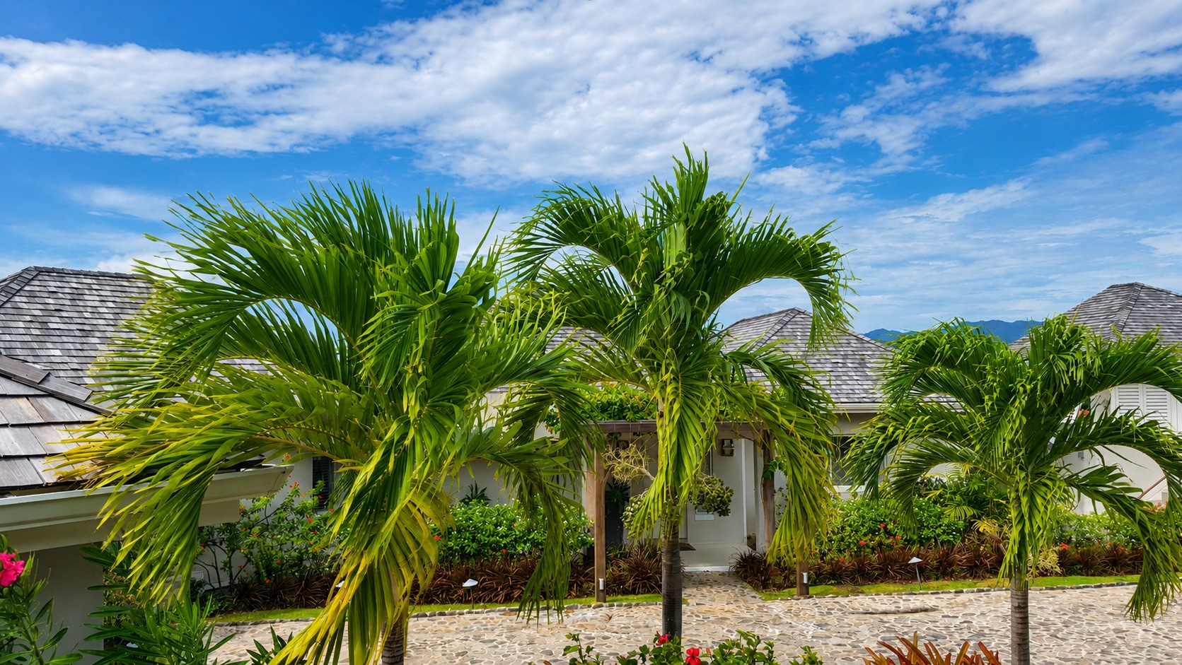 Laluna Ville — palm garden and entrance approach to the villa